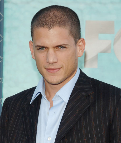 Wenthworth Miller plays the character of Michael Scofield who is very smart
